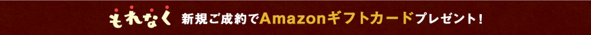 もれなく新規ご成約でAmazonギフトカードプレゼント