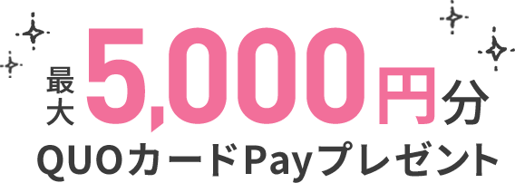 最大5,000円分QUOカードPayプレゼント