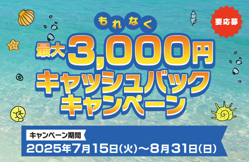 もれなく最大3000円キャッシュバックキャンペーン