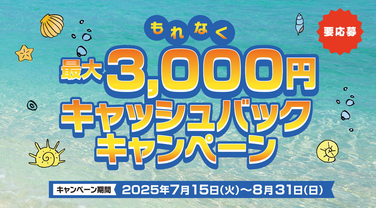 もれなく最大3000円キャッシュバックキャンペーン