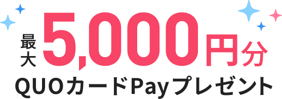 最大5,000円分QUOカードPayプレゼント